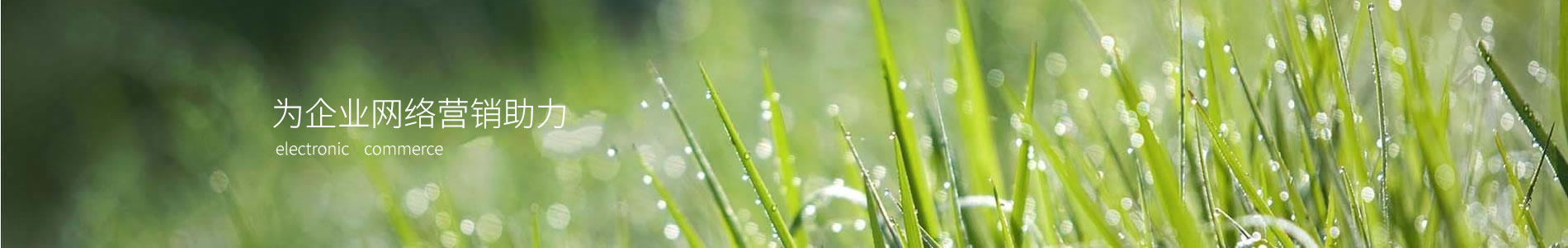ݸһ